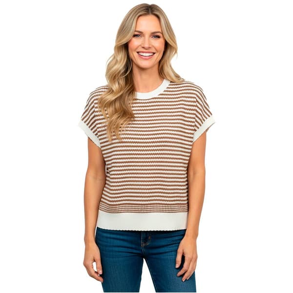 Womens Adrianna Papell Dolman Sleeve Striped Crew Neck Sweater - image 