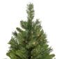 Northlight Seasonal 6.5ft. Pre-Lit Chatham Pine Christmas Tree - image 4