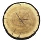 Donna Sharp Painted Bear Tree Ring Decorative Pillow - 16x4 - image 2