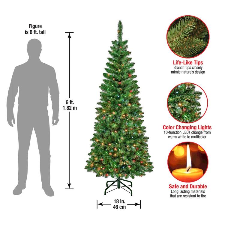 National Tree 6ft Rowan Pencil Slim Tree w/ 250 Multi-Color Light
