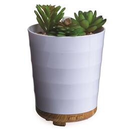 Candle Warmers Etc. Potted Succulent Essential Oil Diffuser
