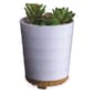 Candle Warmers Etc. Potted Succulent Essential Oil Diffuser - image 1