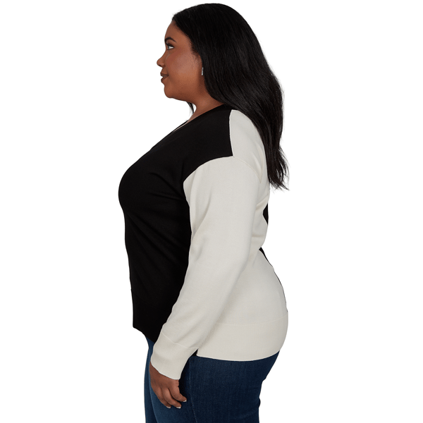 Plus Size Skye’s the Limit Signature Sweaters Color Block Sweater