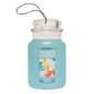 Yankee Candle&#40;R&#41; Bahama&#40;tm&#41; Breeze Car Jar&#40;R&#41; Single - image 1