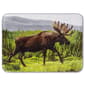Shavel Home Products High Pile Moose Oversized Luxury Throw - image 1