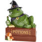 Home Essentials Wizard Frog Cookie Jar - image 1