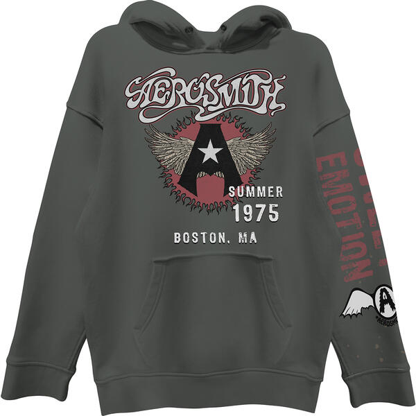 Young Mens Aerosmith Graphic Fleece Hoodie - image 
