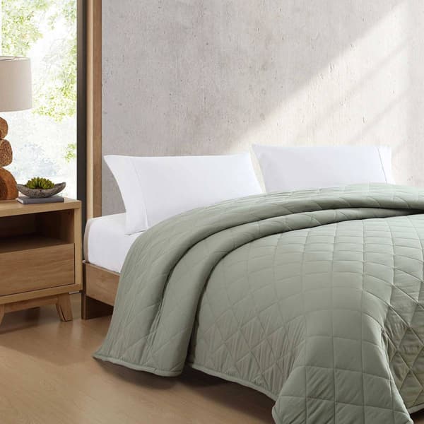Eddie Bauer Classic Soft Solid Microfiber Blanket