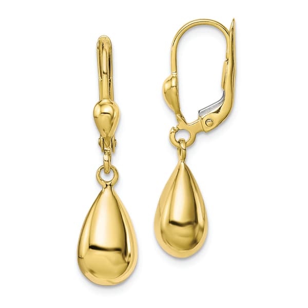 Gold Classics(tm) 10kt. Polished Fancy Dangle Leverback Earrings - image 