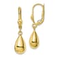 Gold Classics(tm) 10kt. Polished Fancy Dangle Leverback Earrings - image 1