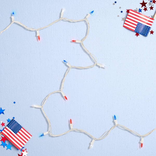 Northlight Seasonal 100 Count LED Multi July 4th Mini Light Set