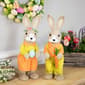 Northlight Seasonal Standing Boy Rabbit w/ Carrot Easter Figurine - image 3