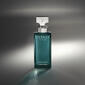 Calvin Klein Eternity Essence For Women Eau de Parfum - image 2