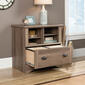 Sauder Harbor View Lateral File - Salt Oak - image 4