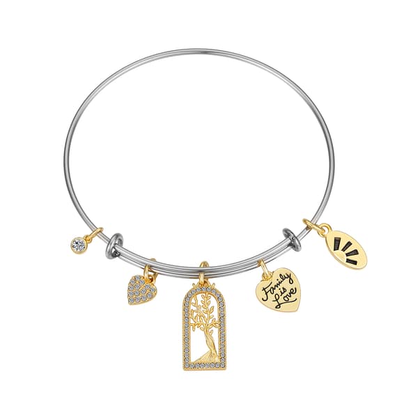 Shine Family is Love Crystal Heart & Tree Bezel Bangle Bracelet - image 