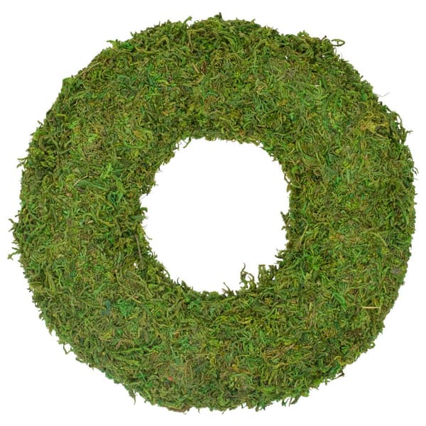 Northlight Seasonal Reindeer Moss Artificial Spring Wreath