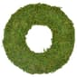 Northlight Seasonal Reindeer Moss Artificial Spring Wreath - image 1