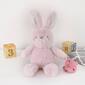 Little Love by NoJo Bunny Pacifier Plush - image 4
