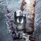 Paco Rabanne Invictus Platinum Eau de Parfum - image 3