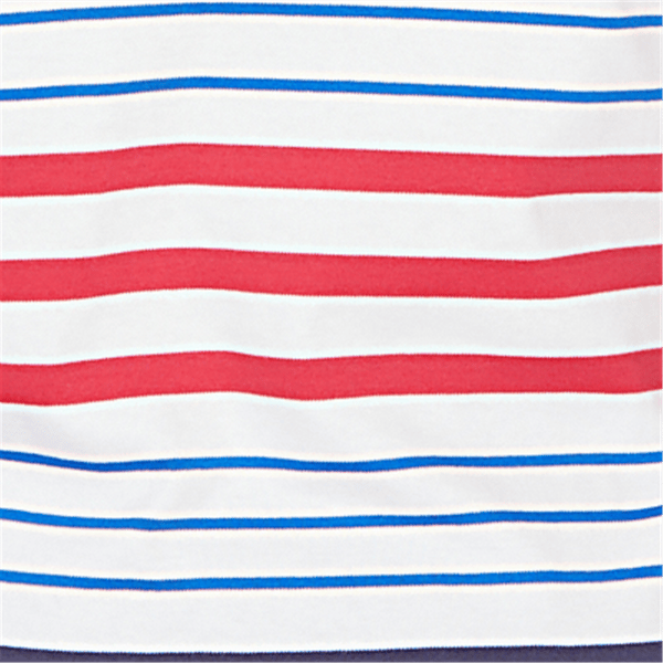 Petite Alfred Dunner Lady Liberty Americana Stripes Tee