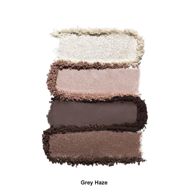 Est&#233;e Lauder&#8482; Pure Color Envy Eye Shadow Quad