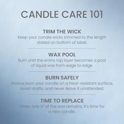 Yankee Candle® 14.25oz. Warm Luxe Cashmere Pillar Candle