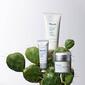 Murad Daily Defense Colloidal Oatmeal Cream - image 4