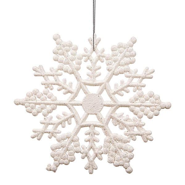 Northlight 24ct. Glitter White Snowflake Christmas Ornaments
