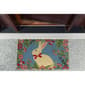 Design Imports Easter Bunny Doormat - image 3