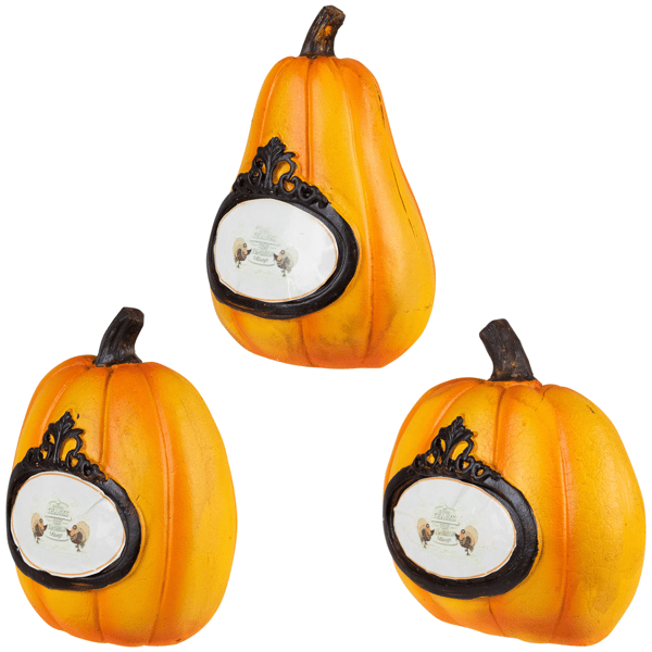 Northlight 3pc Pumpkins "Thanks Today Tomorrow Always" Fall Décor
