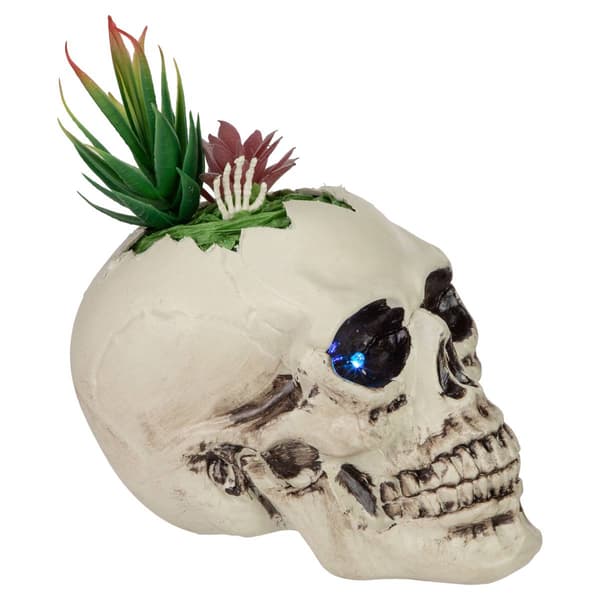 Northlight Seasonal 8.75in. LED Succulent Skull Planter
