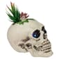 Northlight Seasonal 8.75in. LED Succulent Skull Planter - image 4