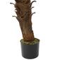 Northlight Seasonal 47in. Artificial Phoenix Palm Potted Tree - image 4