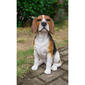 Hi-Line Gift Sitting Beagle Dog Garden Statue - image 6