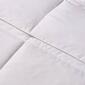 Kathy Ireland Essentials Microfiber Comforter - image 3
