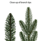 Puleo International 7.5ft. Oregon Spruce Christmas Tree - image 5