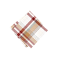 Threadmade Seneca Plaid Harvest Cotton Napkins - Set of 8 - image 2