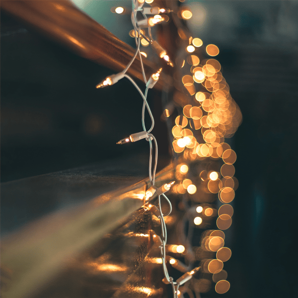 Northlight 300ct. Mini Incandescent Christmas Lights