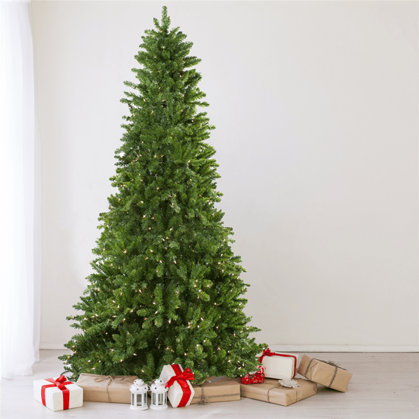 Northlight 10ft. Pre-Lit Slim Eastern Pine Christmas Tree