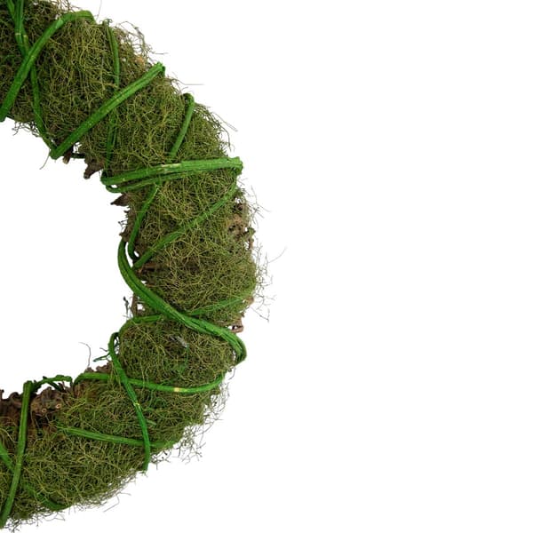 Northlight Seasonal Artificial Moss & Vine Spring Twig Wreath