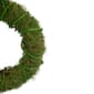 Northlight Seasonal Artificial Moss & Vine Spring Twig Wreath - image 4