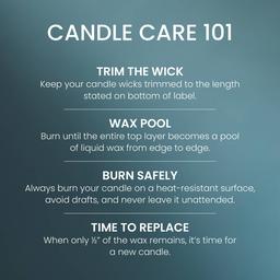 Yankee Candle® 14.25oz. Bayside Cedar Pillar Candle