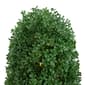 Northlight Seasonal 18in. Pre-Lit Artificial Topiary Tree - image 3