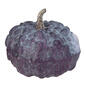 Northlight Seasonal 7in. Textured Pumpkin Tabletop Decoration - image 1