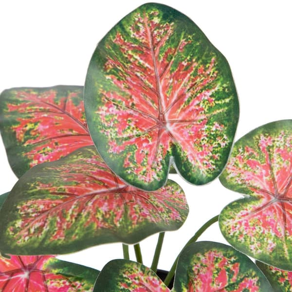 Northlight Seasonal 8in. Artificial Rohdea Potted Plant