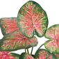 Northlight Seasonal 8in. Artificial Rohdea Potted Plant - image 6