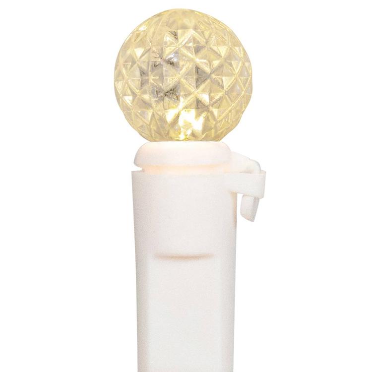 Northlight Seasonal 50ct. G12 Berry Mini Christmas Lights