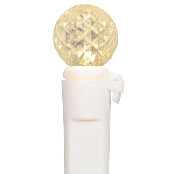 Northlight Seasonal 50ct. G12 Berry Mini Christmas Lights