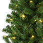 Puleo International 6ft. Pre-Lit Canadian Spruce Christmas Tree - image 4