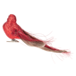 Northlight Bird with Feather Tail Christmas Clip Ornament - image 4
